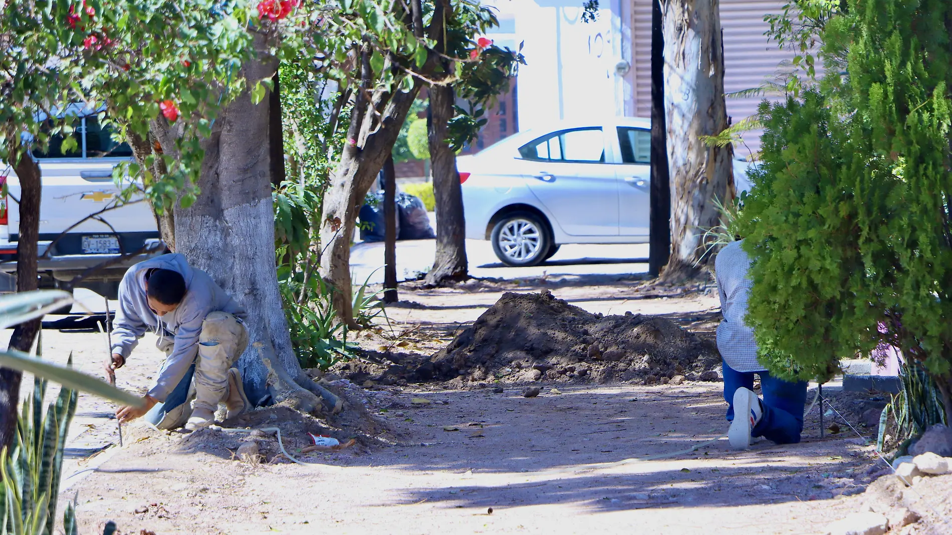 PROYECTOS GANADORES  PRESUPUESTO PARTICIPATIVO - Fco Meza - El Sol de Leon (1)